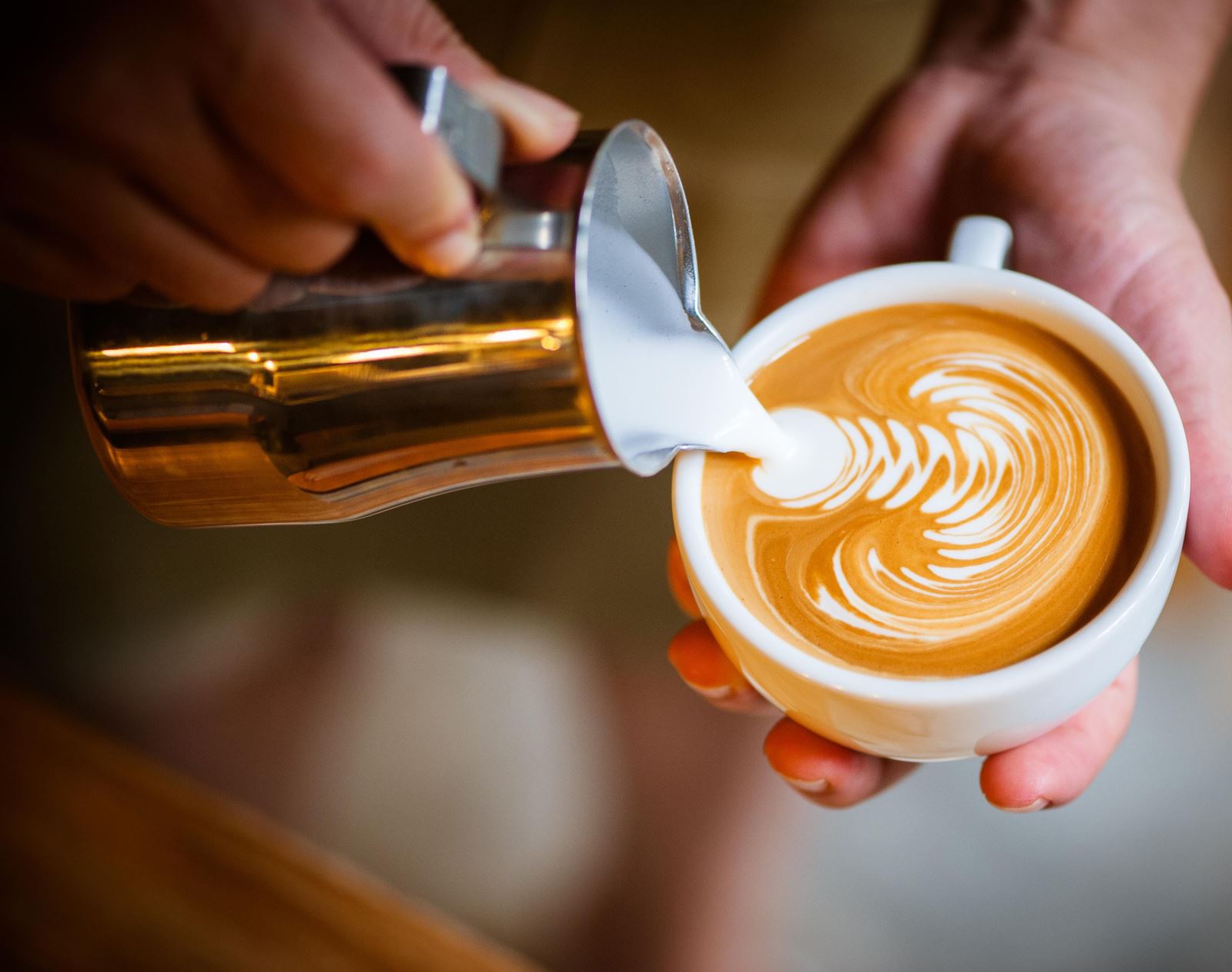 Barista Ekipmanları